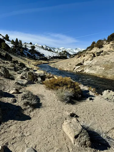 Best Hot Springs Trails in Inyo National Forest | AllTrails