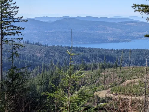 Best Views Trails In Lake Whatcom Park Alltrails