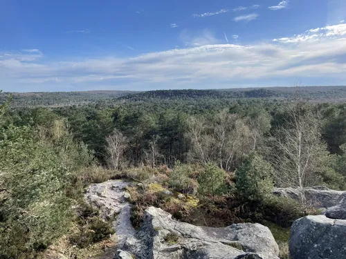 10 Best forest trails in Fontainebleau | AllTrails
