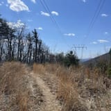 Smith Mountain Cooperative Wildlife Management Area, Virginia 160