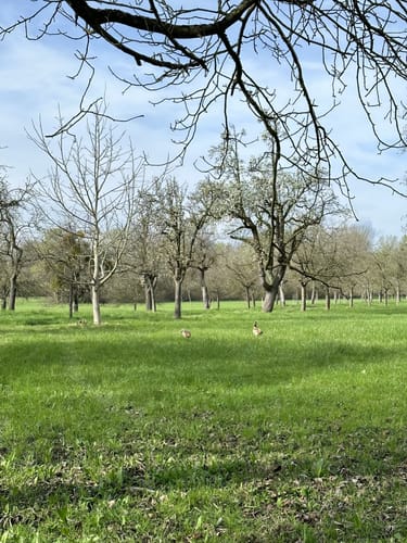 Rund um die Reißinsel
