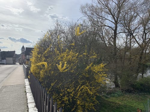 Felder und Wildgehege Gehlweiler