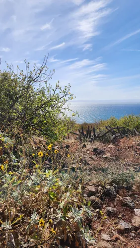 Best Trail Running Trails in Área de Protección de Flora y Fauna