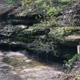 Mossy Ridge Trail, Tennessee - 6,502 Reviews, Map | AllTrails