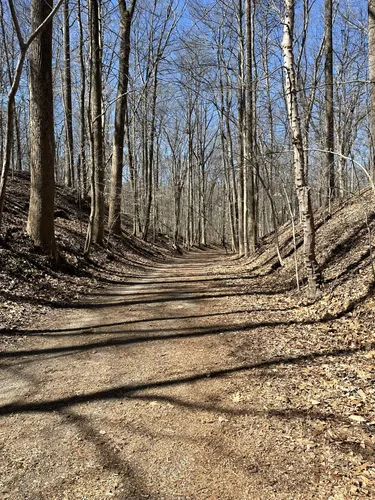 Best Mountain Biking Trails in Lake Accotink Park | AllTrails