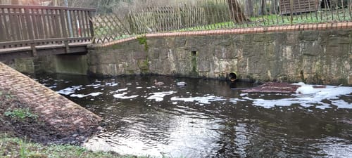 Wanderung um den Wockersee Parchim