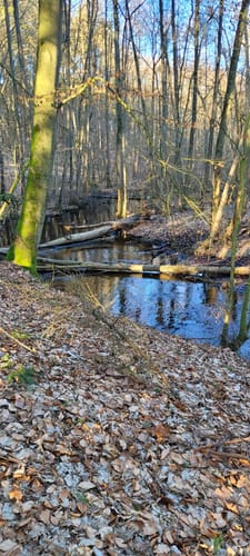 Wanderung um den Wockersee Parchim