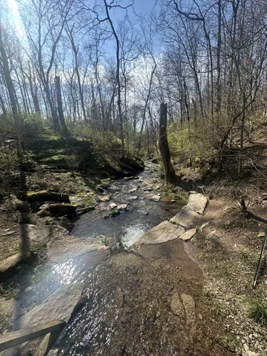 Best Hikes and Trails in Jessamine Creek Gorge Nature Preserve | AllTrails