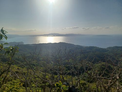 Photos of 大宜味の石灰岩の山と森周回コース - Okinawa, Japan 