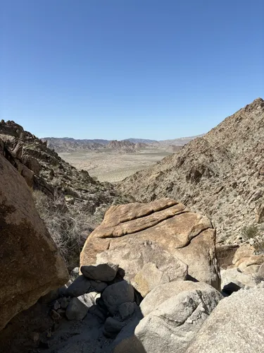 Best Hikes and Trails in Sheephole Valley Wilderness | AllTrails