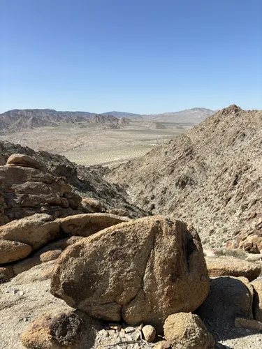 Best Hikes and Trails in Sheephole Valley Wilderness | AllTrails