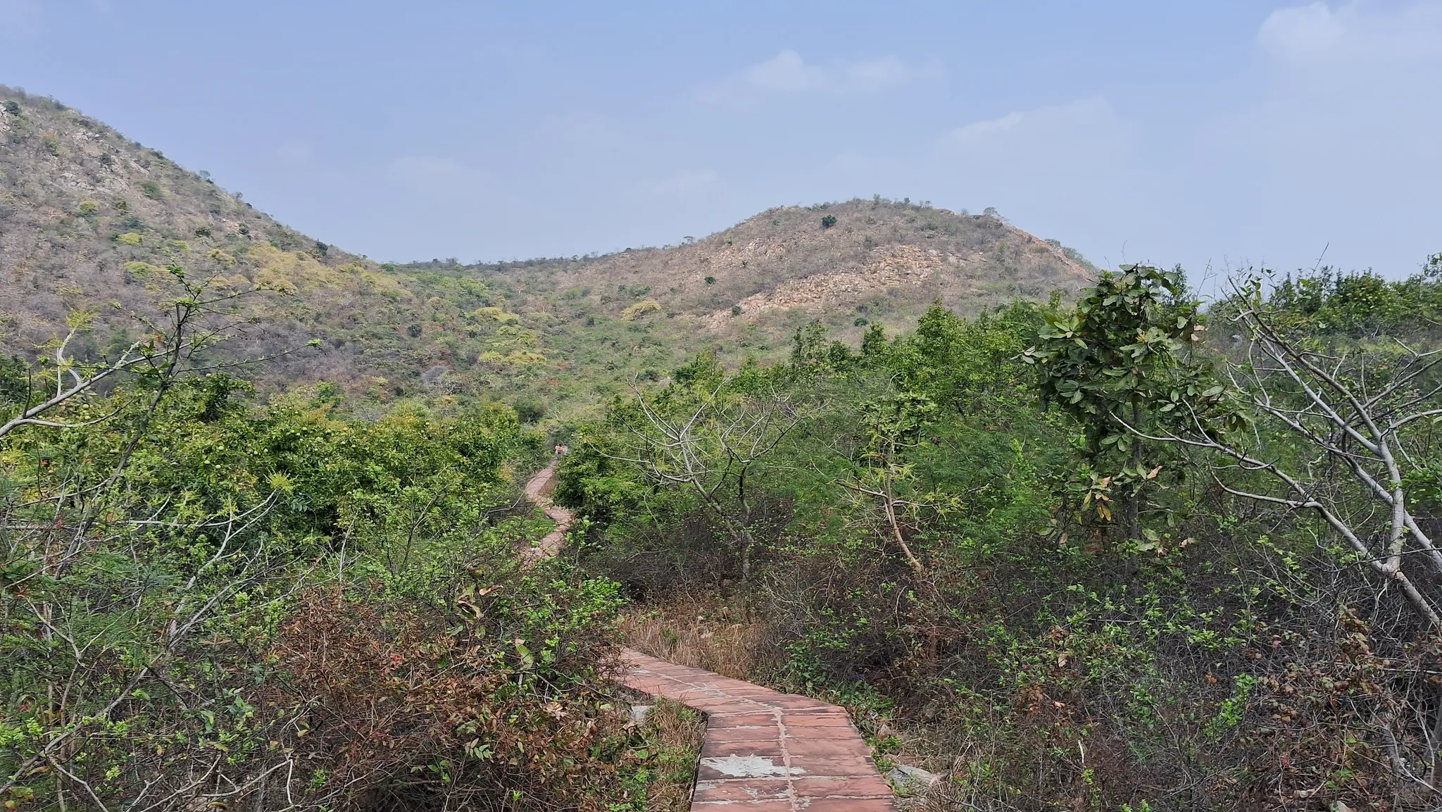 Trekking in Rajgir Hills