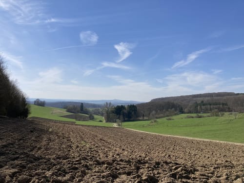 Von Altsteußlingen zum Blauen Steinbruch