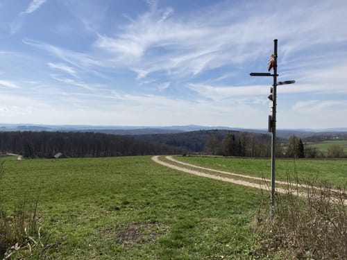 Von Altsteußlingen zum Blauen Steinbruch