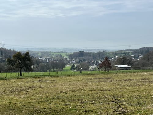 Nordenstäder Wald um Wildsachsen