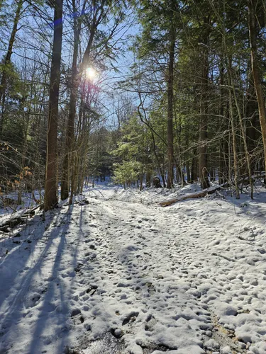 Best Hikes and Trails in Robert V. Riddell State Park | AllTrails
