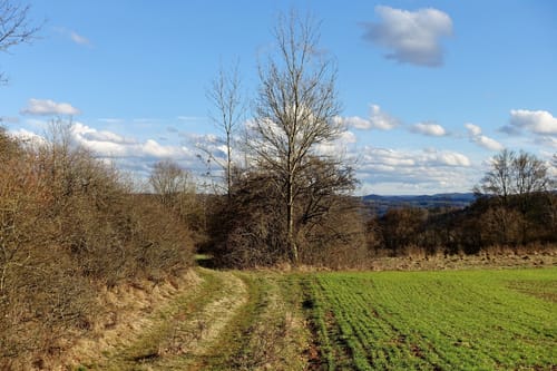 Rundweg Osternohe – Algersdorf