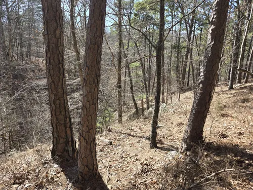 Best Walking Trails in Tahlequah | AllTrails