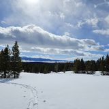 Taggart Lake Loop, Wyoming - 5,945 Reviews, Map | AllTrails