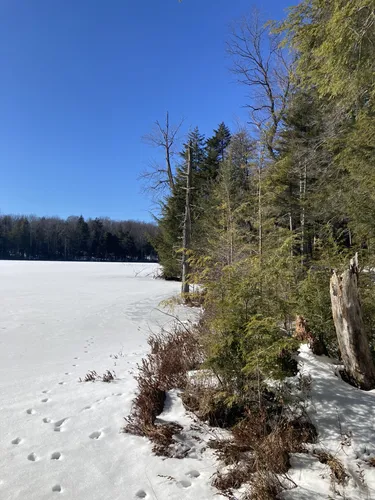 Best Mountain Biking Trails in Otter Lake | AllTrails