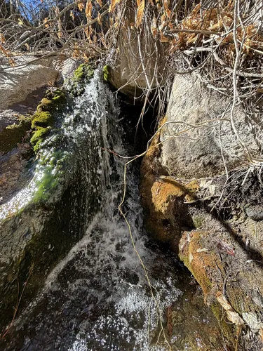 Best Forest Trails in Elena Gallegos Picnic Area/Albert G. Simms Park ...