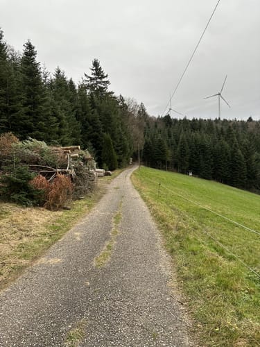Rundweg: Sulz - Langenhard