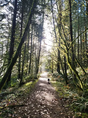 Best Hikes and Trails in Molalla River Corridor Recreation Area | AllTrails