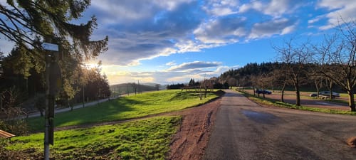 Nordic Walking Freiamt - Pflingsteck (mittel)