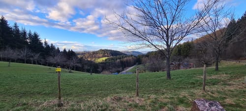 Nordic Walking Freiamt - Pflingsteck (mittel)