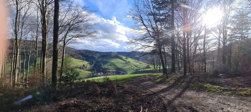Nordic Walking Freiamt - Pflingsteck (mittel)