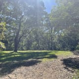 Wolli Creek Walking Track, New South Wales, Australia - 235 Reviews ...