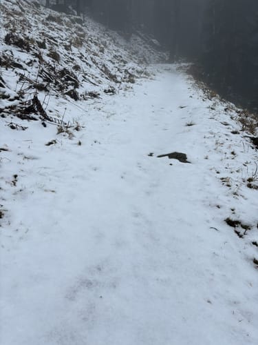 Rundkurs Kandel Rotwasserweg