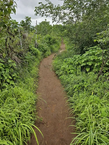 Off road mountain bike trails near me hot sale
