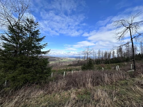 Am Aubach zur Wintermühle