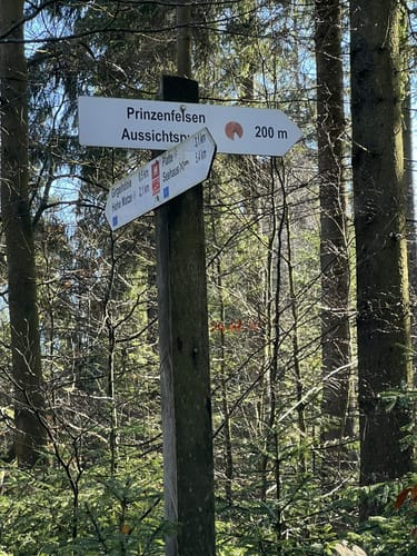 Vom Silberhaus zur Hohen Matz