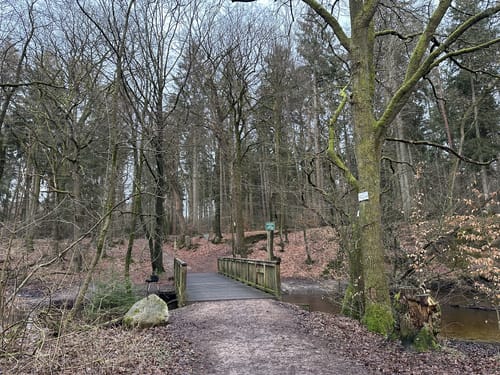 Langlauf Sachsenwald Ohe