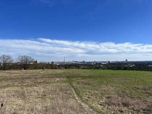 Grunewald: Drachenberg - Teufelsberg
