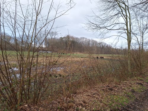 Rundwanderweg Aukrug von Innien