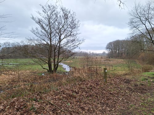 Rundwanderweg Aukrug von Innien
