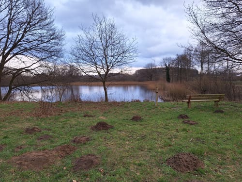Rundwanderweg Aukrug von Innien