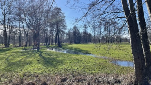 Burg Runde im Spreewald