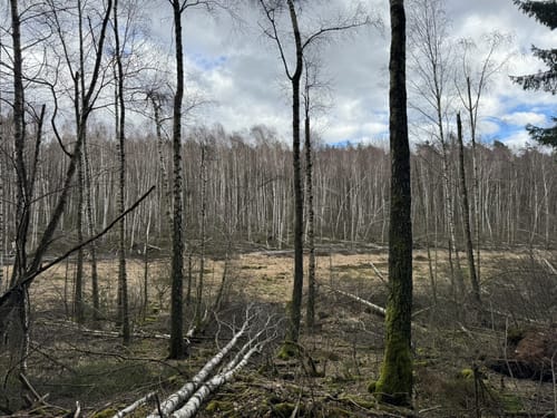 Rundwanderweg Olfen 1: Rotes-Wasser-Weg