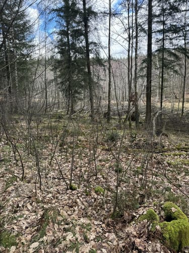 Rundwanderweg Olfen 1: Rotes-Wasser-Weg