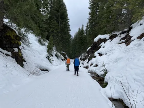 Best Hikes and Trails in Crystal Springs Sno-Park | AllTrails