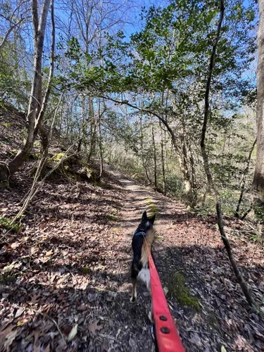 Palmetto trail outlet camping