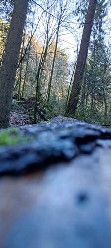 Wildes Monbachtal