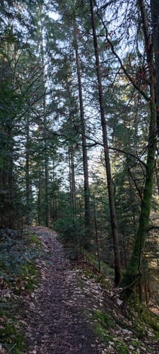 Wildes Monbachtal