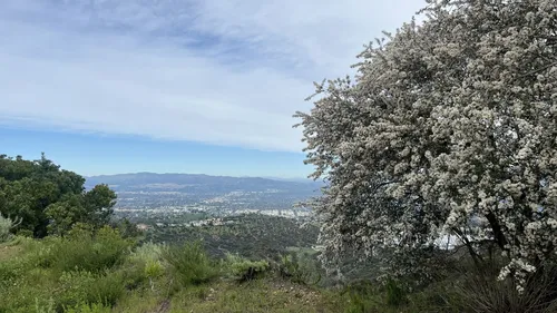 Westridge canyon shop wilderness park