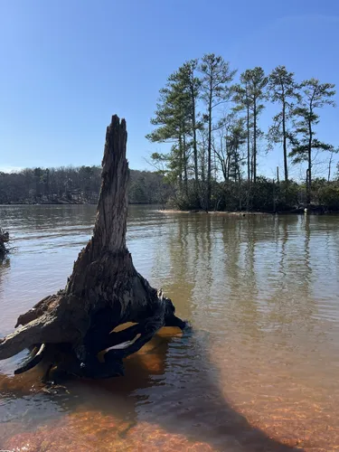 Escape to Paradise: Unplug and Recharge at Dreher Island State Recreation Area