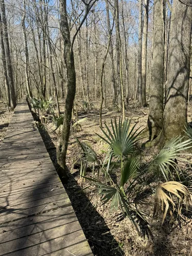 Chicot state shop park hiking